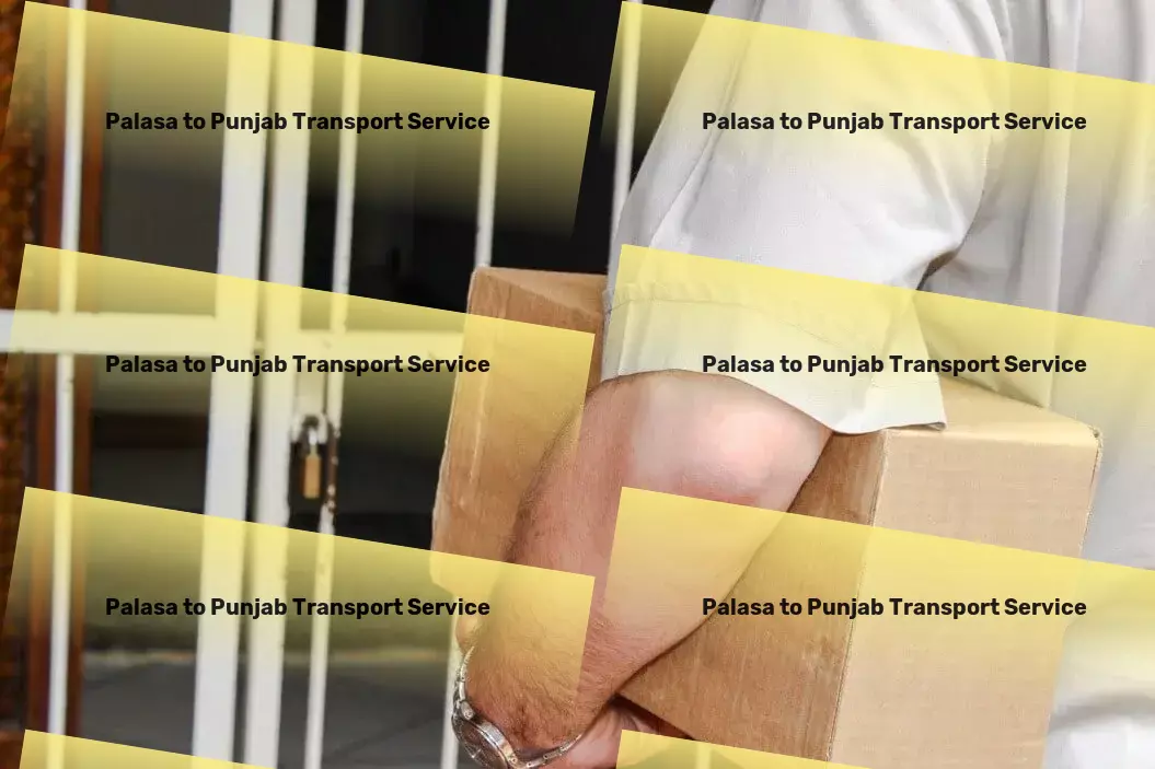 Palasa to Punjab Transport Multi-destination freight logistics