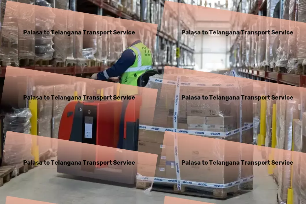 Palasa to Telangana Transport Customized goods transport