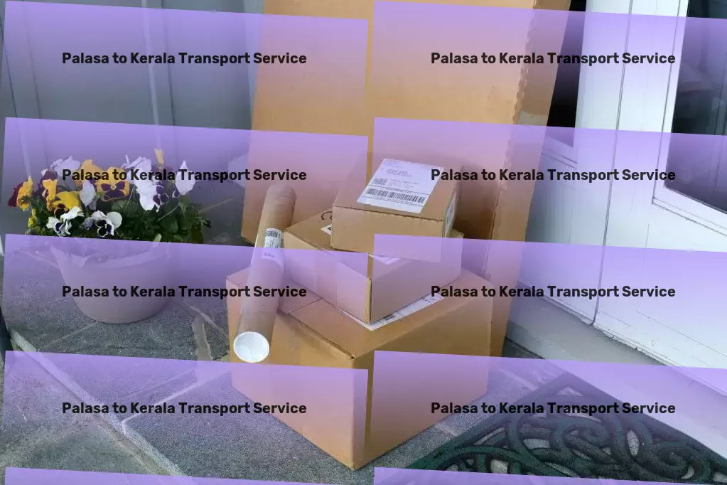 Palasa to Kerala Transport Door-to-door freight solutions