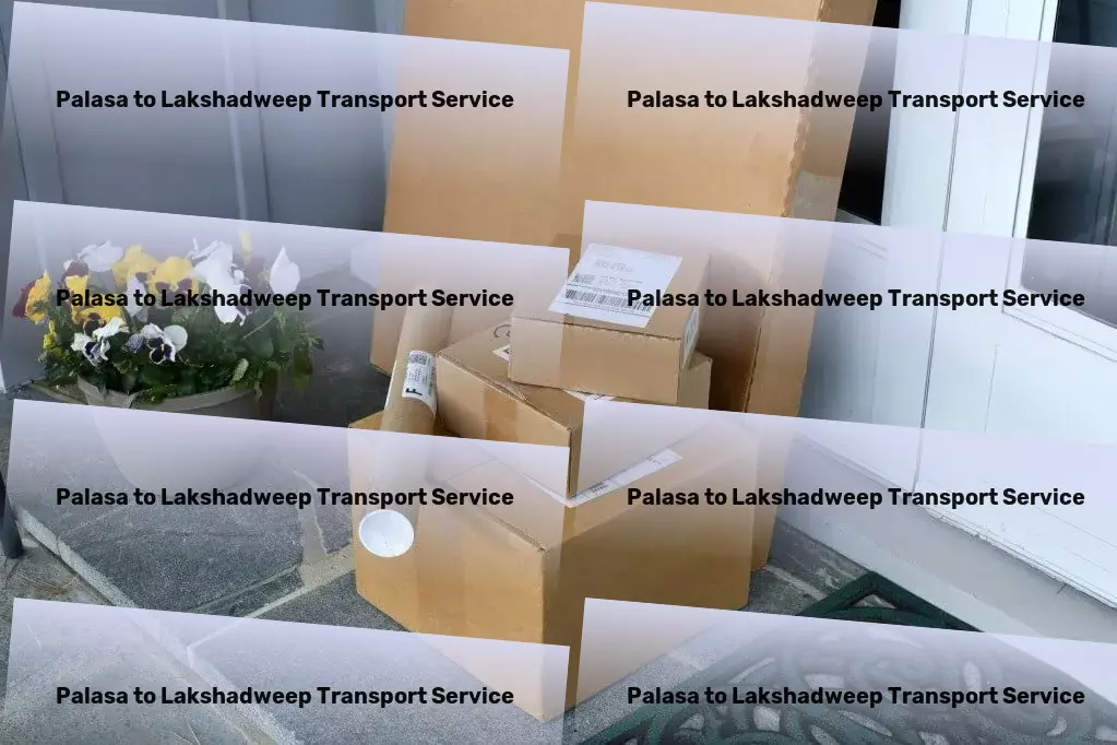 Palasa to Lakshadweep Transport Personalized goods shipment