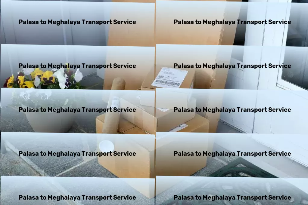 Palasa to Meghalaya Transport High-capacity transport solutions