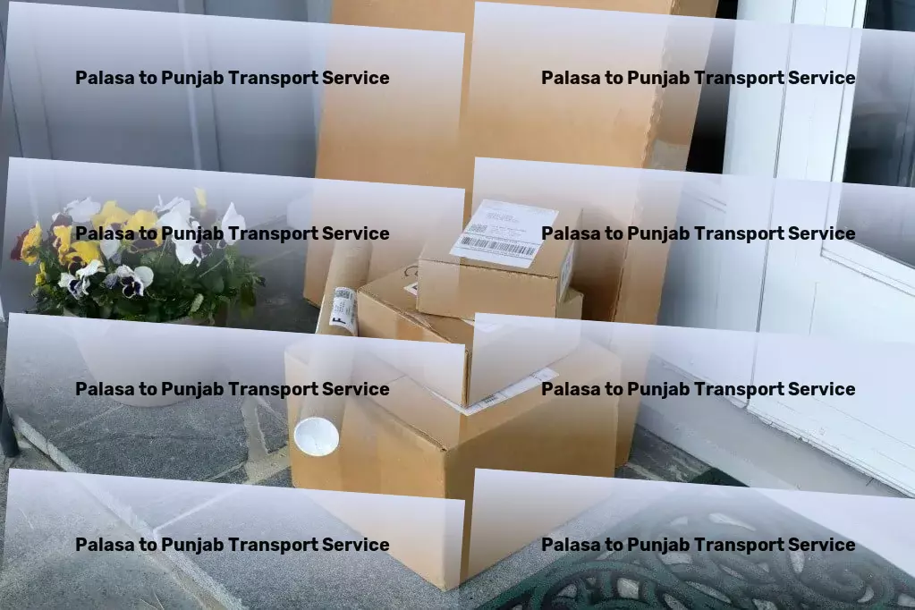 Palasa to Punjab Transport Find serenity in urban life with mindfulness techniques. - National road freight services