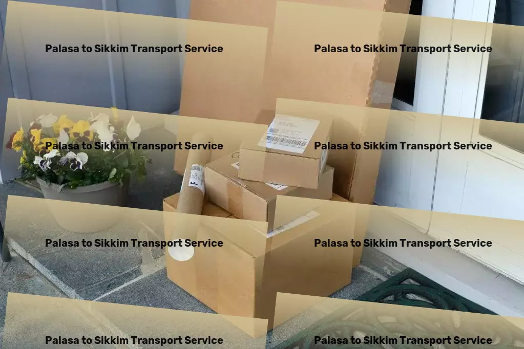 Palasa to Sikkim Transport Expert solutions to India's most challenging transport problems! - Express household moving