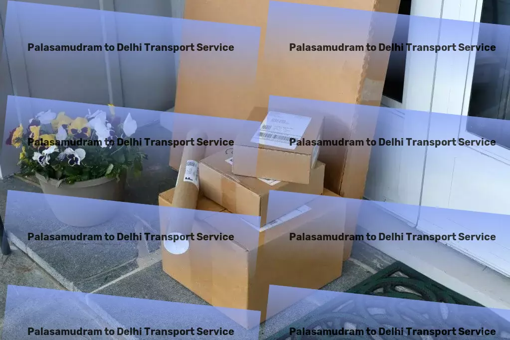 Palasamudram to Delhi Transport Custom goods services