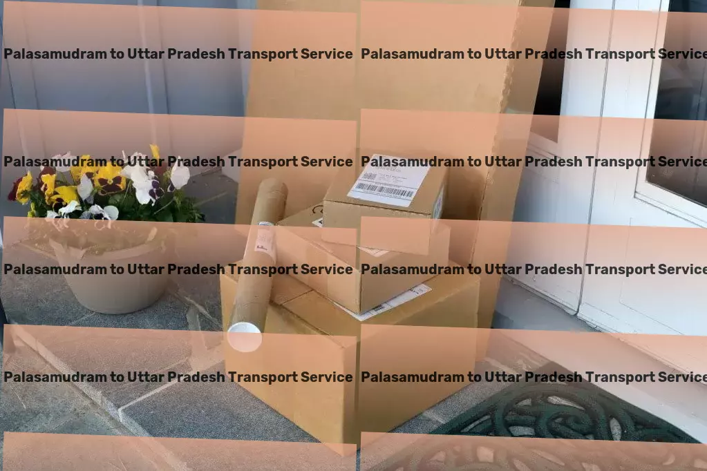 Palasamudram to Uttar Pradesh Transport Professional goods moving