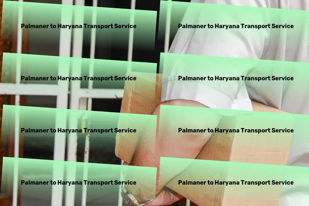 Palmaner to Haryana Transport Integrated transport services