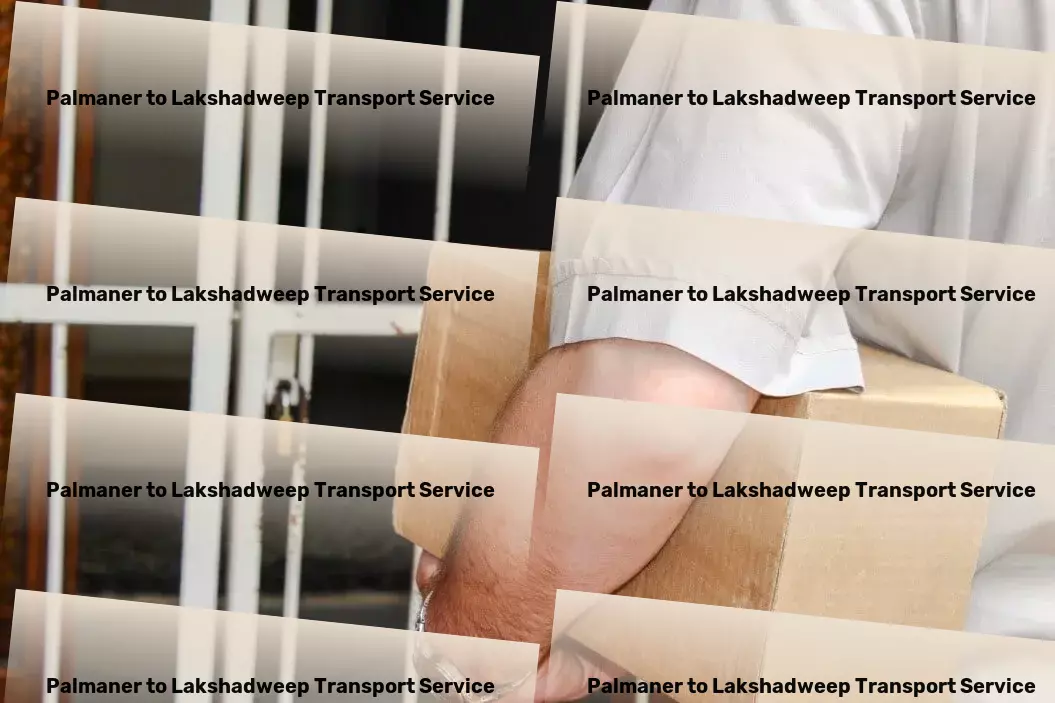 Palmaner to Lakshadweep Transport Efficient road transport services