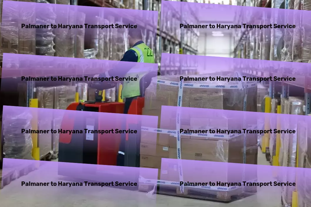 Palmaner to Haryana Transport Household Parcel Service