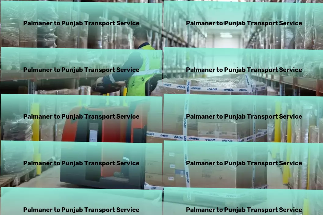 Palmaner to Punjab Transport Customized goods forwarding