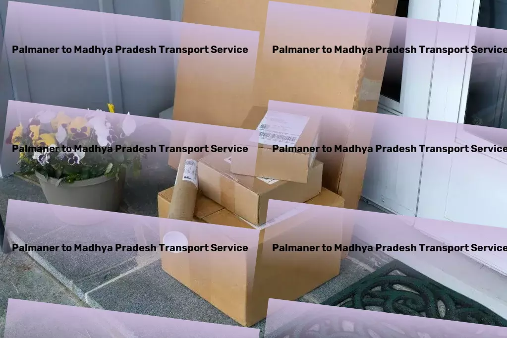 Palmaner to Madhya Pradesh Transport Specialized courier operations