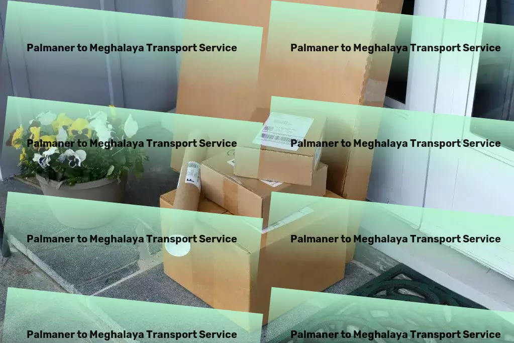 Palmaner to Meghalaya Transport Bulk goods movers