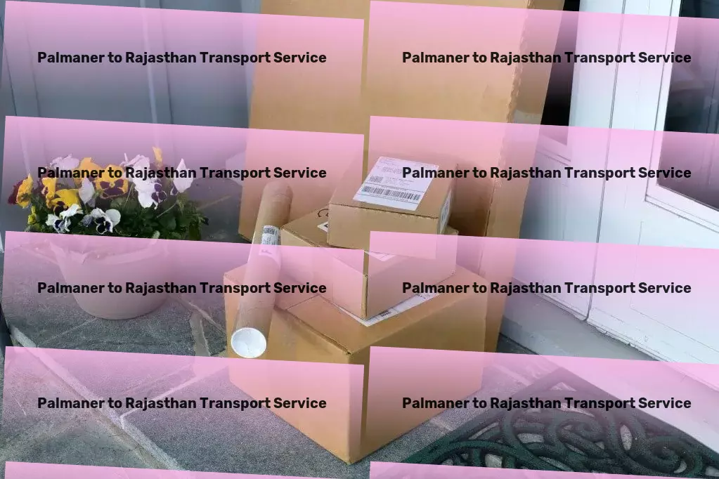 Palmaner to Rajasthan Transport Professional goods logistics