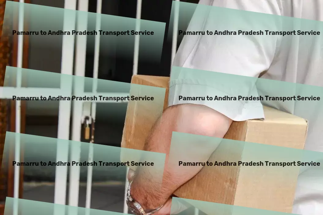 Pamarru to Andhra Pradesh Transport Nationwide movers