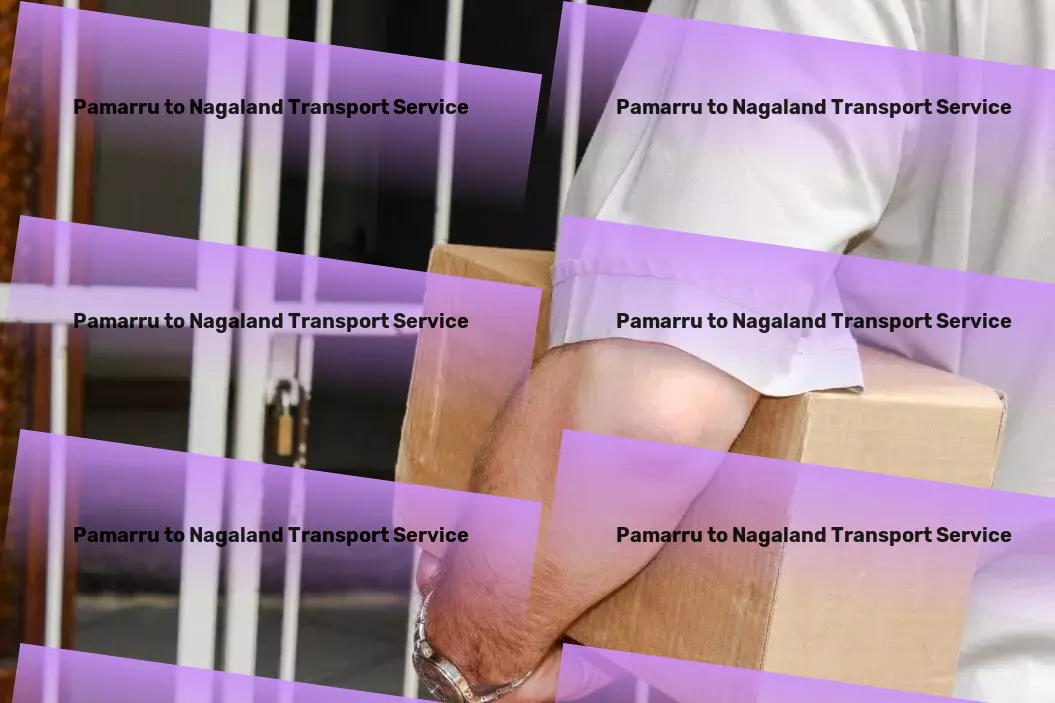 Pamarru to Nagaland Transport Professional courier solutions