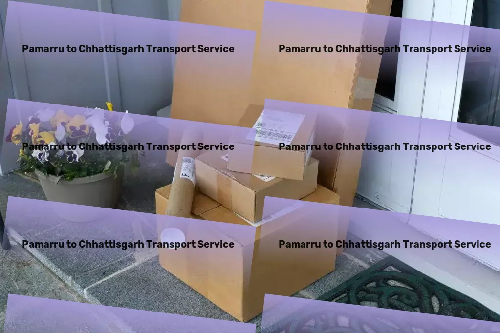 Pamarru to Chhattisgarh Transport The ultimate logistics partner for a thriving Indian marketplace！ - Specialized goods shipment