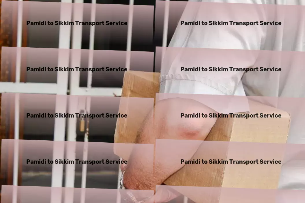 Pamidi to Sikkim Transport Nationwide freight shipment