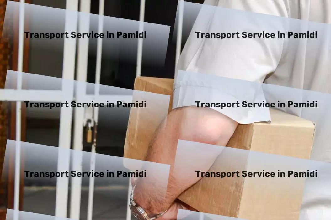 Packers And Movers in Pamidi, Andhra Pradesh (AP) Customized goods shipment services