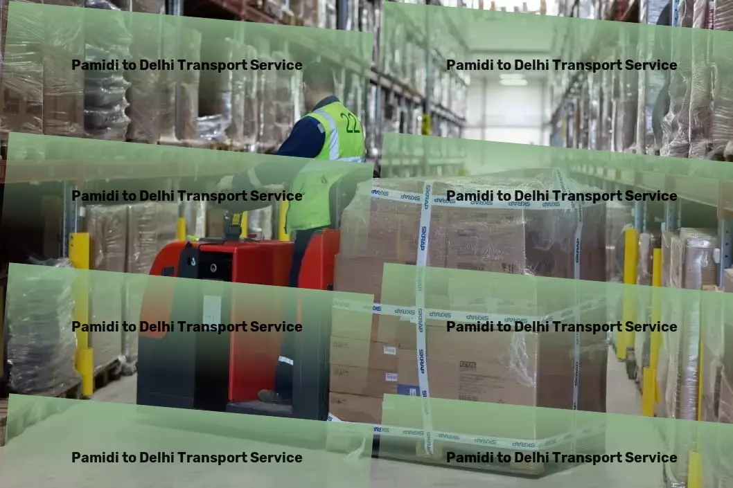 Pamidi to Delhi Transport Professionalism and precision in Indian goods transportation! - Specialized package logistics