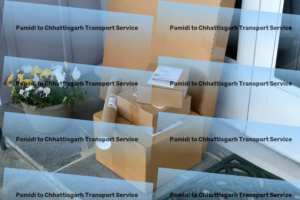 Pamidi to Chhattisgarh Transport Express freight logistics