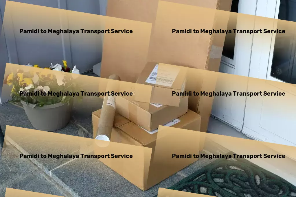 Pamidi to Meghalaya Transport National goods solutions