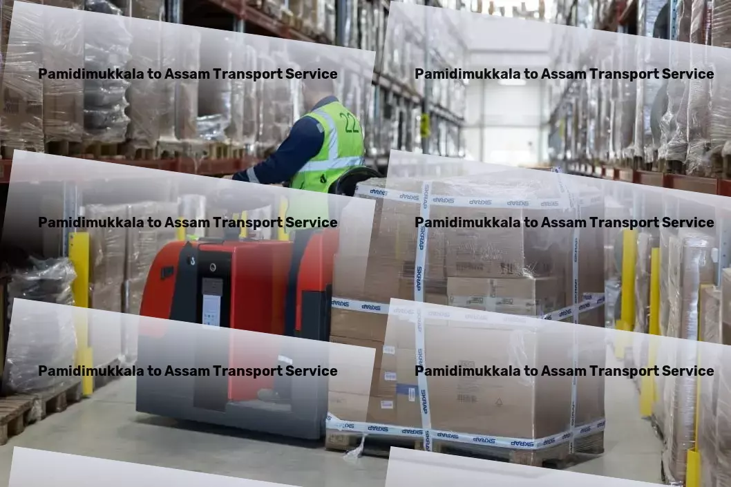 Pamidimukkala to Assam Transport Expedited courier solutions