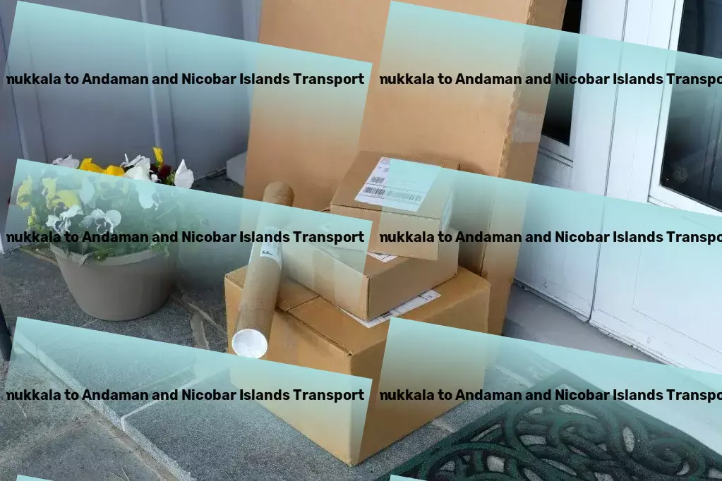 Pamidimukkala to Andaman And Nicobar Islands Transport Advanced package logistics