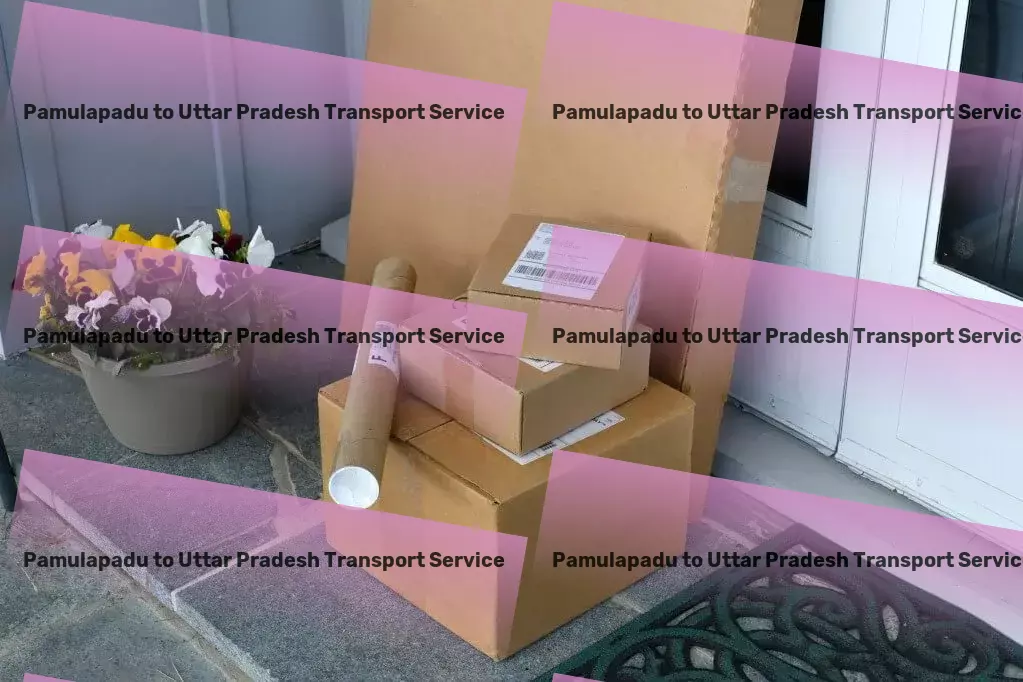 Pamulapadu to Uttar Pradesh Transport Custom goods shipment services