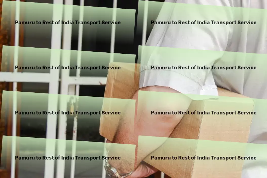 Pamuru to Rest Of India Transport Multi-region transport services