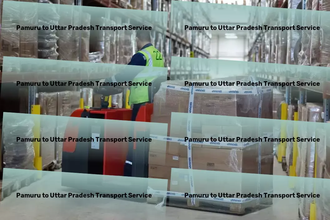 Pamuru to Uttar Pradesh Transport Professional logistics services