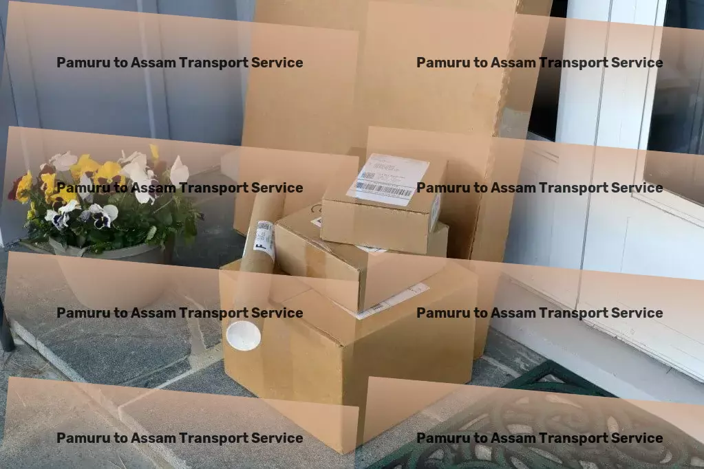 Pamuru to Assam Transport Nationwide distribution services