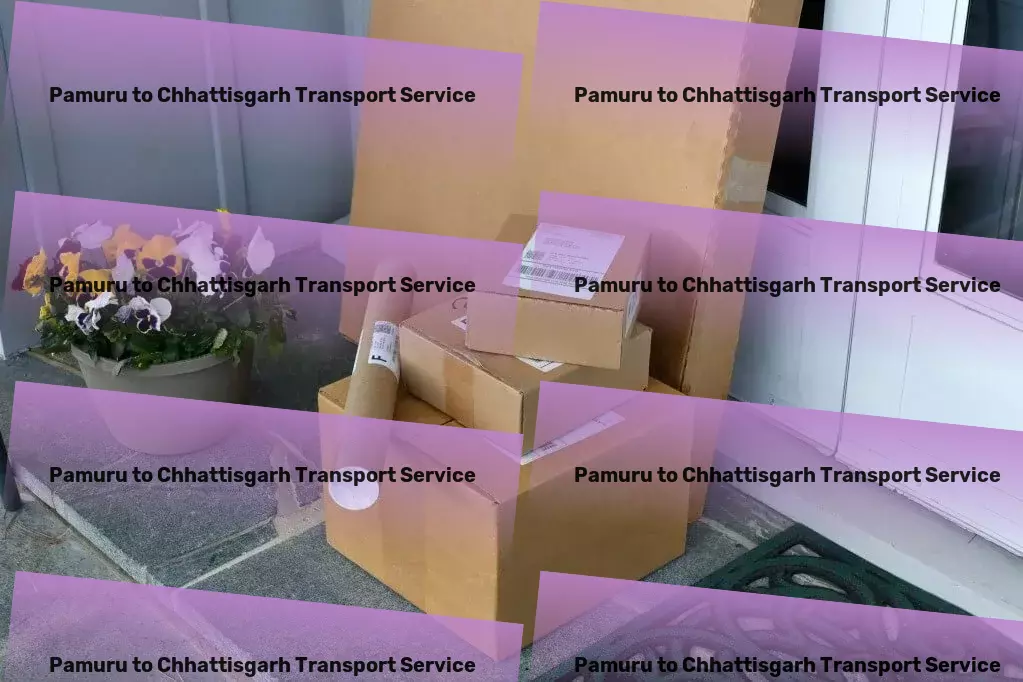 Pamuru to Chhattisgarh Transport Direct freight logistics