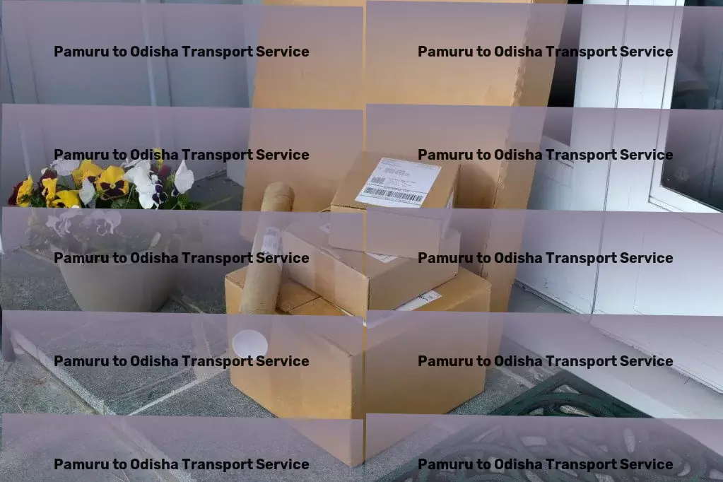 Pamuru to Odisha Transport Specialized package moving