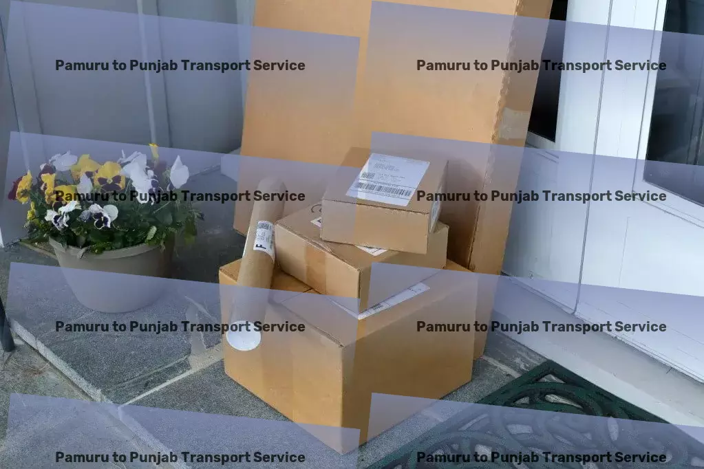 Pamuru to Punjab Transport Cross-country freight