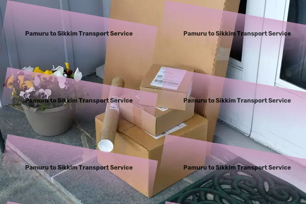 Pamuru to Sikkim Transport Tackle DIY projects confidently with our guidance! - Trucking Services