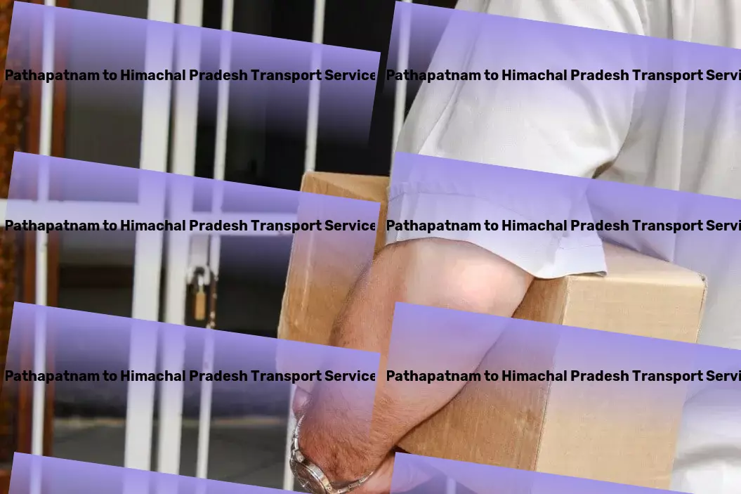 Pathapatnam to Himachal Pradesh Transport Customized freight solutions