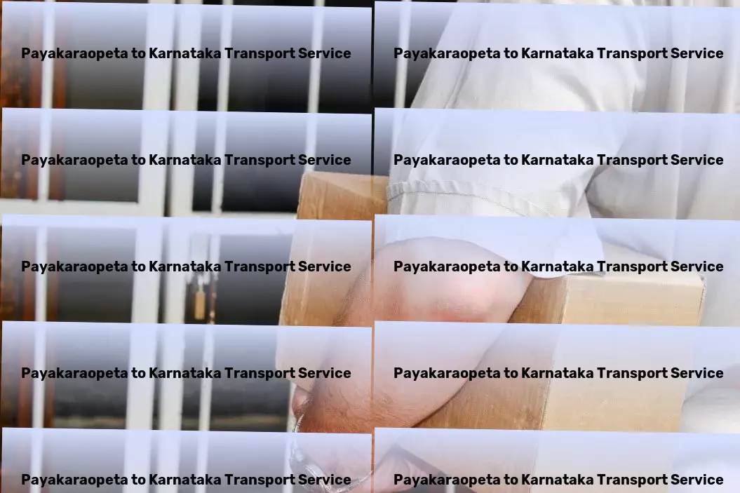 Payakaraopeta to Karnataka Transport Nationwide courier operations