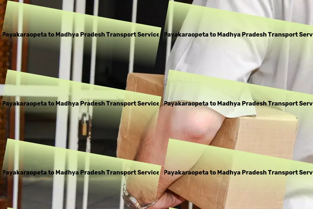 Payakaraopeta to Madhya Pradesh Transport Nationwide moving logistics