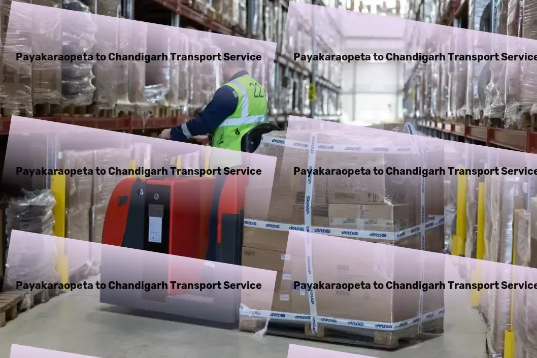 Payakaraopeta to Chandigarh Transport Efficient package logistics