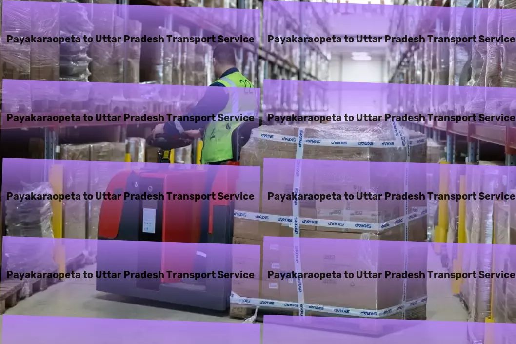 Payakaraopeta to Uttar Pradesh Transport Drive your business forward with our robust logistics support in India！ - Customized transport operations