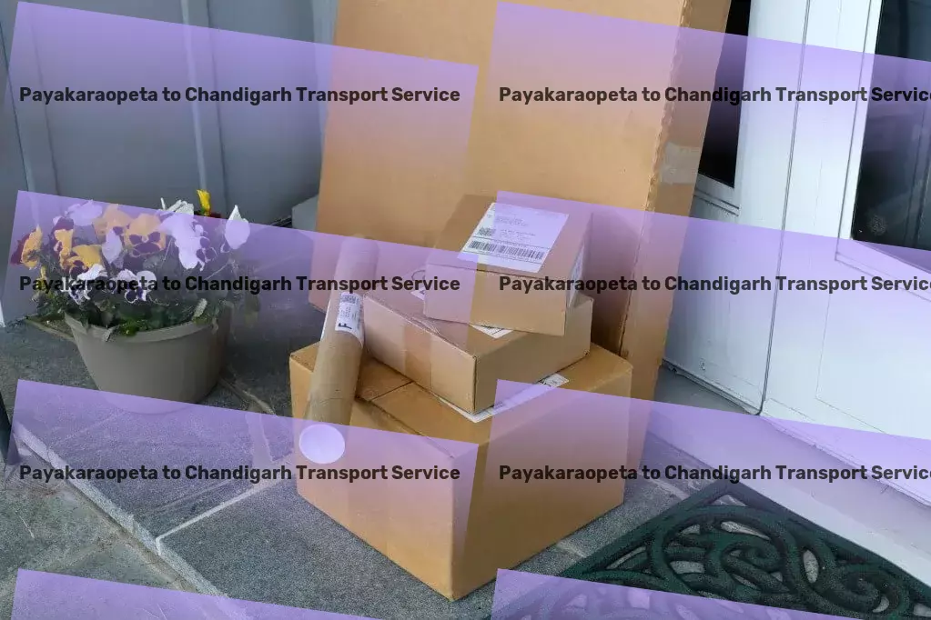 Payakaraopeta to Chandigarh Transport Enhancing your digital experience, one solution at a time! - Rapid freight services