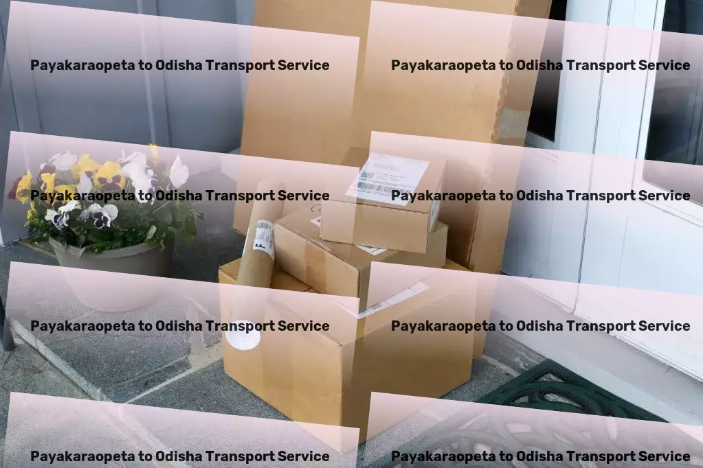 Payakaraopeta to Odisha Transport Specialized cargo logistics