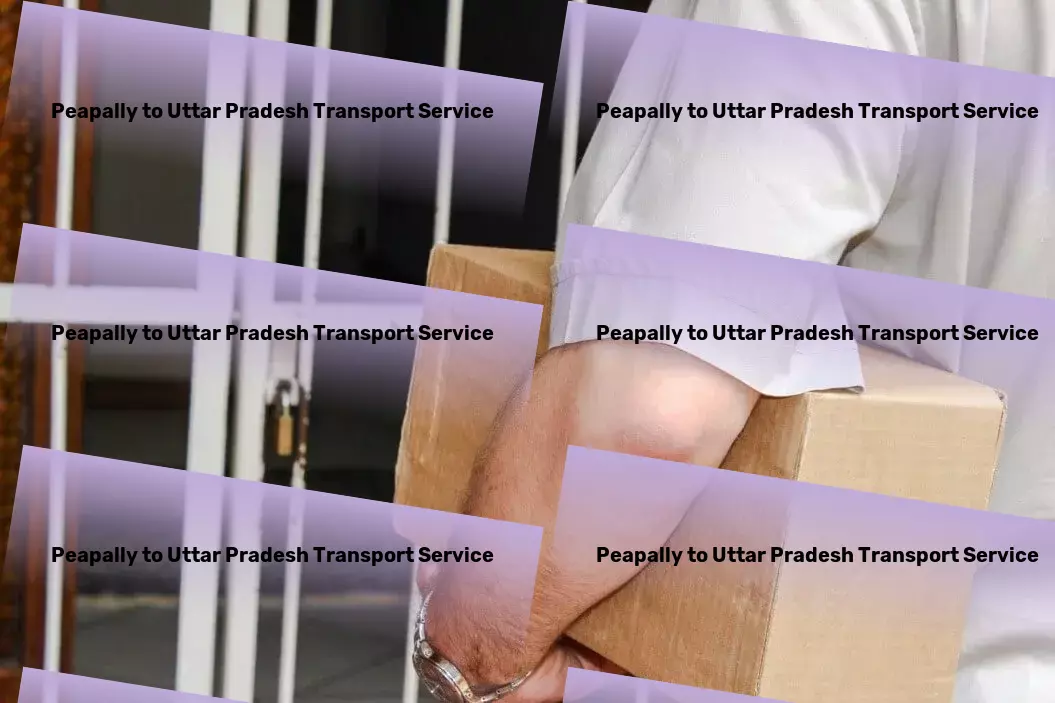 Peapally to Uttar Pradesh Transport Fast freight services