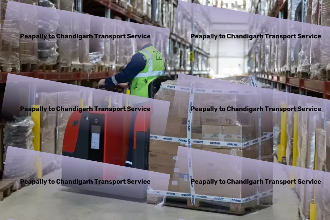 Peapally to Chandigarh Transport Freight management