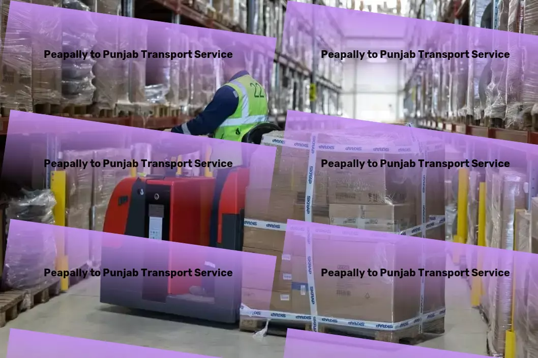 Peapally to Punjab Transport Express bulk cargo delivery