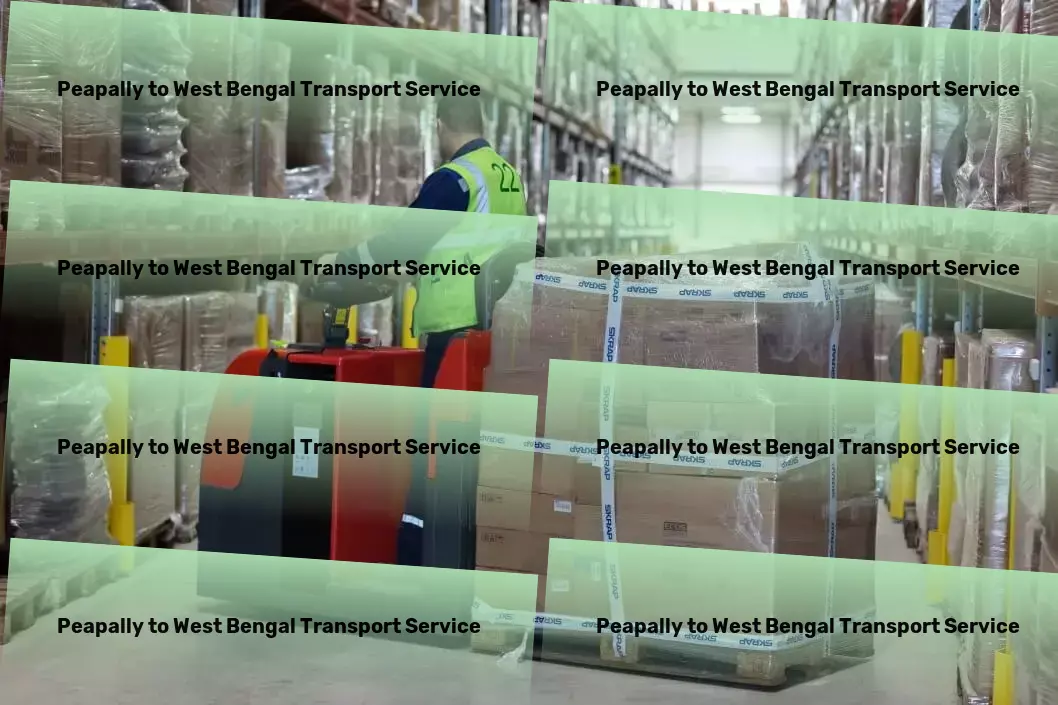 Peapally to West Bengal Transport Customized freight logistics