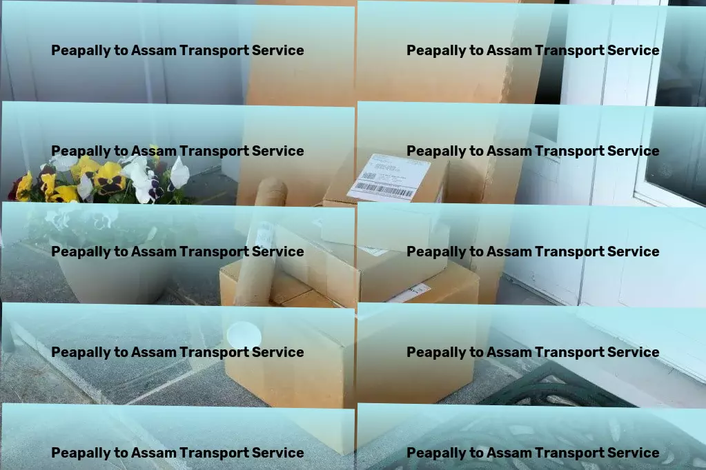 Peapally to Assam Transport Where speed, safety, and efficiency meet: Our transport services. - Nationwide transport and logistics