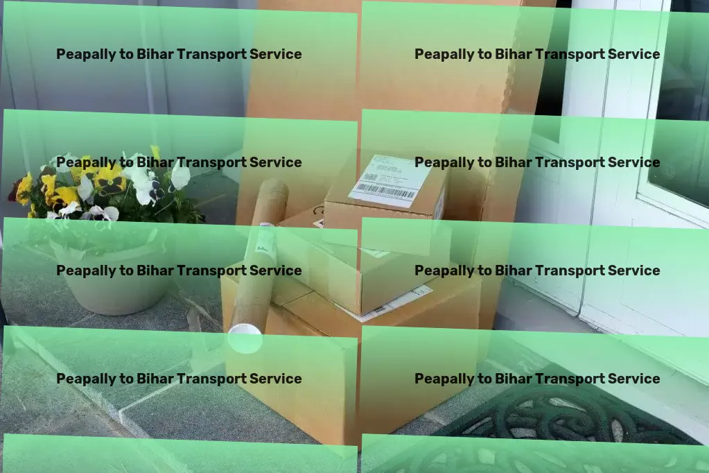 Peapally to Bihar Transport Your guide to thriving in the digital age! - Large item logistics