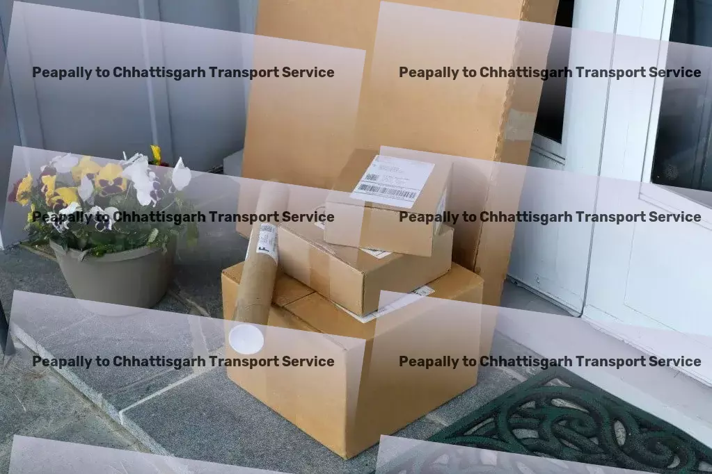 Peapally to Chhattisgarh Transport Expertly navigating the challenges of Indian logistics. - Export logistics services