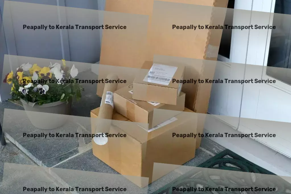 Peapally to Kerala Transport Unlocking the power of logistics for you in India! - Personal goods delivery