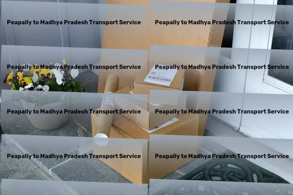 Peapally to Madhya Pradesh Transport Intermodal transport services